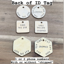 Whale of a Time Pet ID